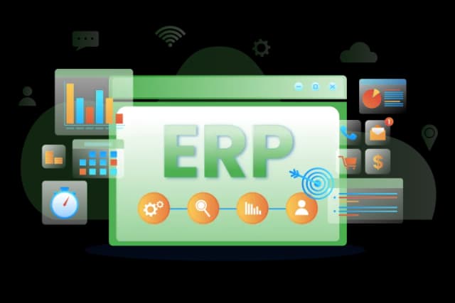 ERP and Customized Business Solutions